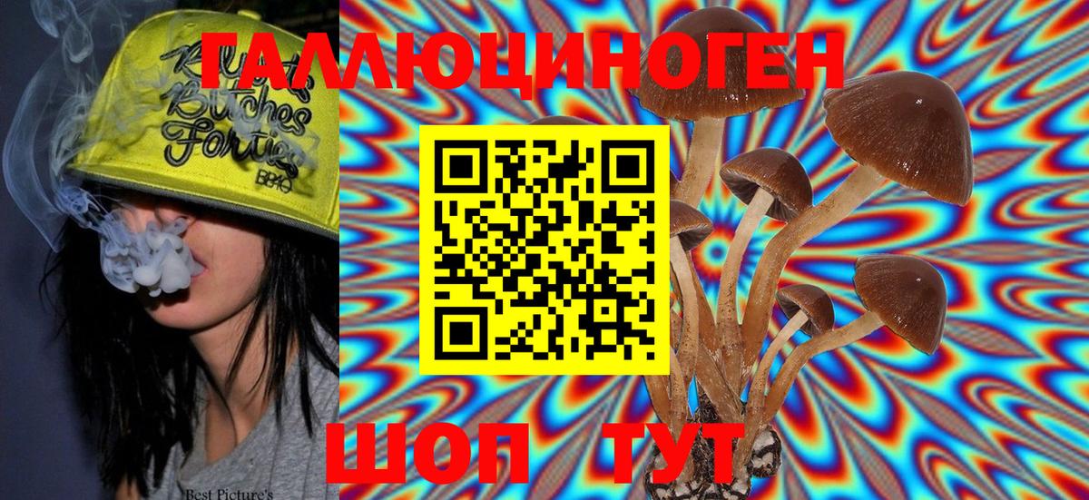 продажа наркотиков  Воткинск  Галлюциногенные грибы Psilocybe  Галлюциногенные грибы мицелий 