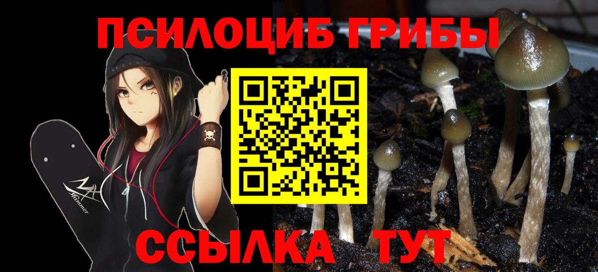 Псилоцибиновые грибы Magic Shrooms Воткинск