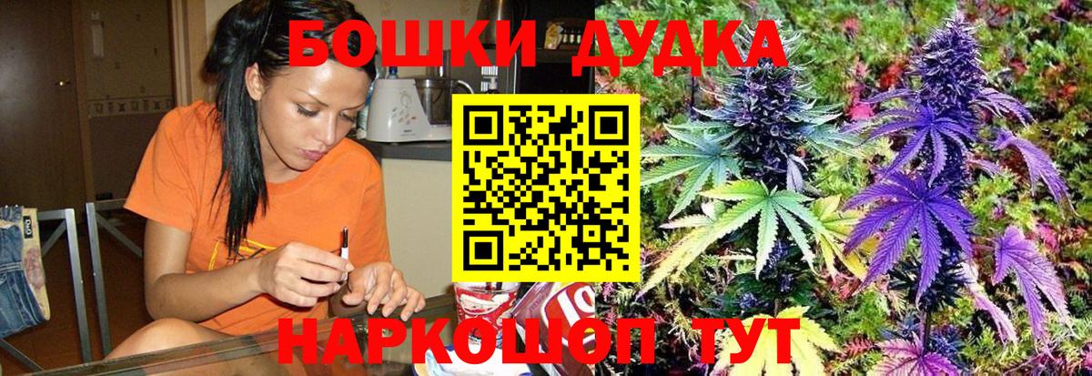 Бошки марихуана план  Канабис индика  Воткинск  Марихуана Amnesia 